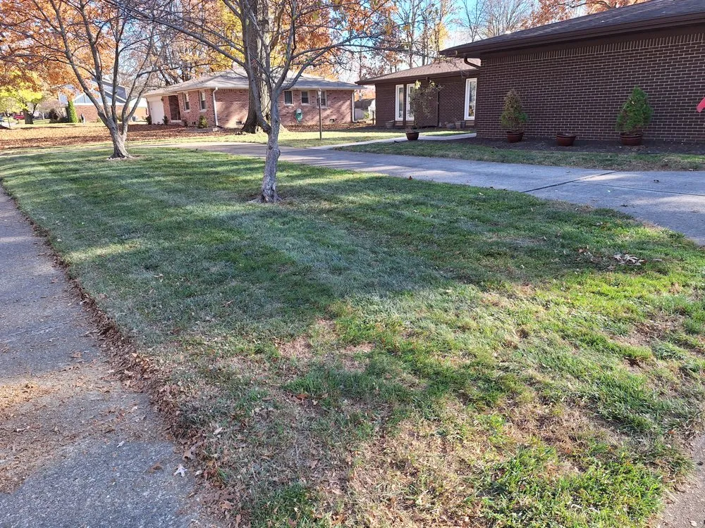 Trusted yard cleanup service in Indianapolis, IN - Mckinney Lawncare and Landscape