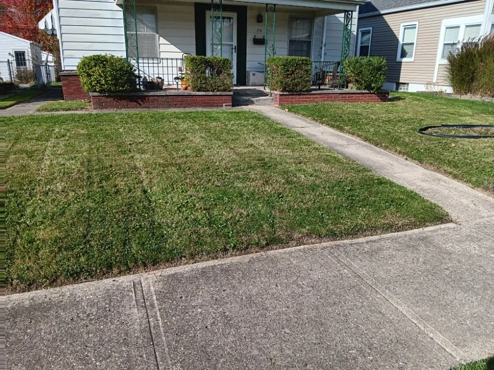 Affordable lawn care service experts serving Indianapolis, IN - Mckinney Lawncare and Landscape