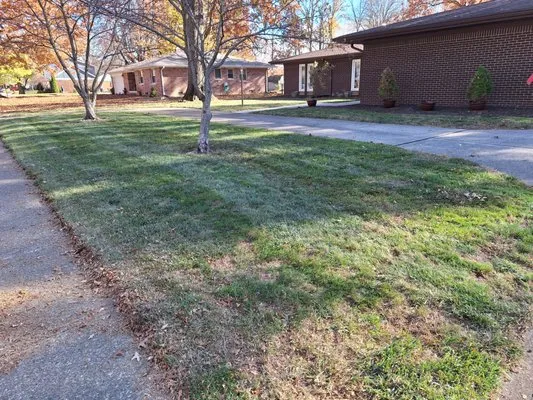 Mckinney Lawncare and Landscape Logo