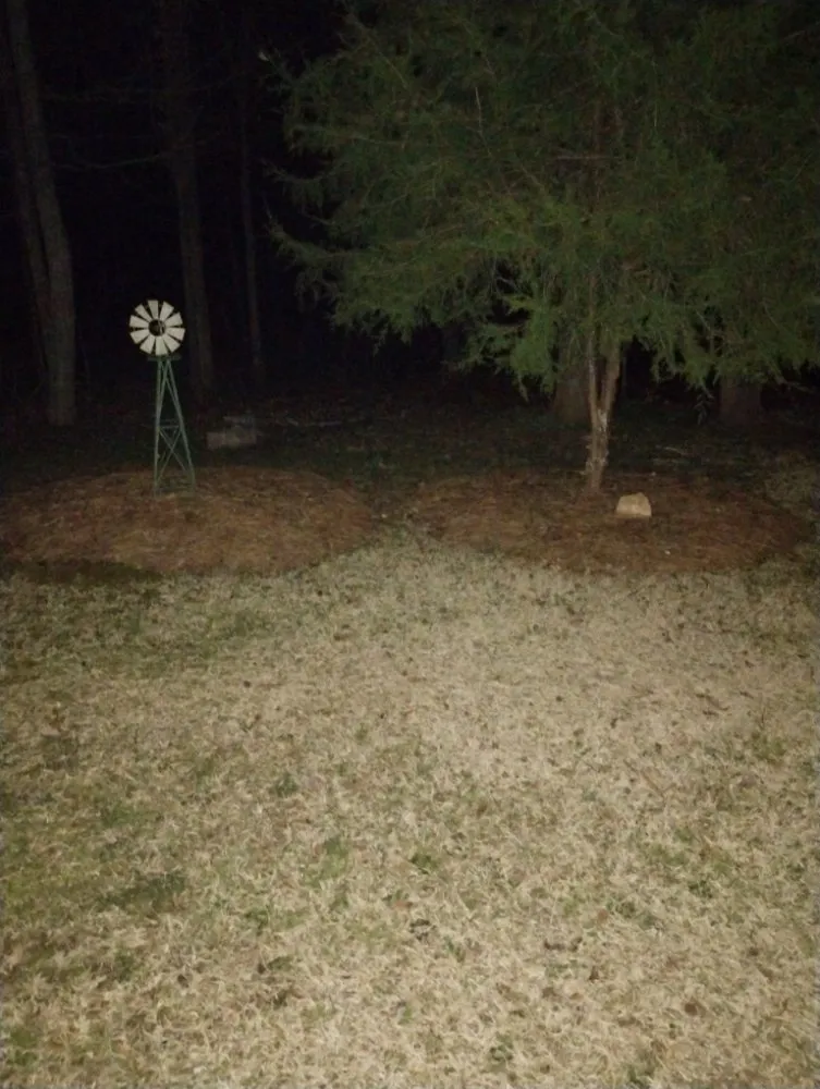 Top-rated residential landscaping for beautiful yards across Jefferson, GA - Mckinzie Pine Straw And Mulch