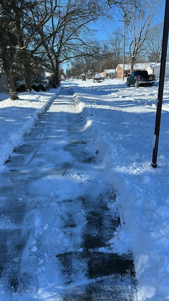 Affordable yard cleanup service experts serving Eastpointe, MI - McKissic’s Lawn Care & Snow Removal