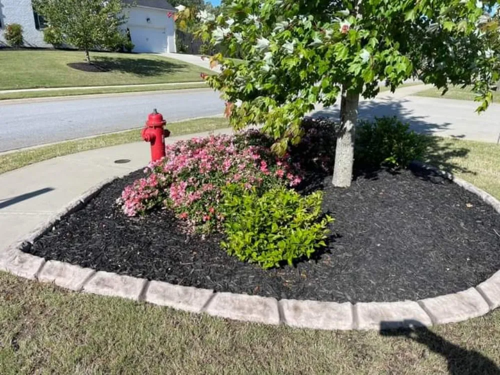 Affordable lawn care service in LaGrange, GA by Mckiver Lawn Care & Home repairs