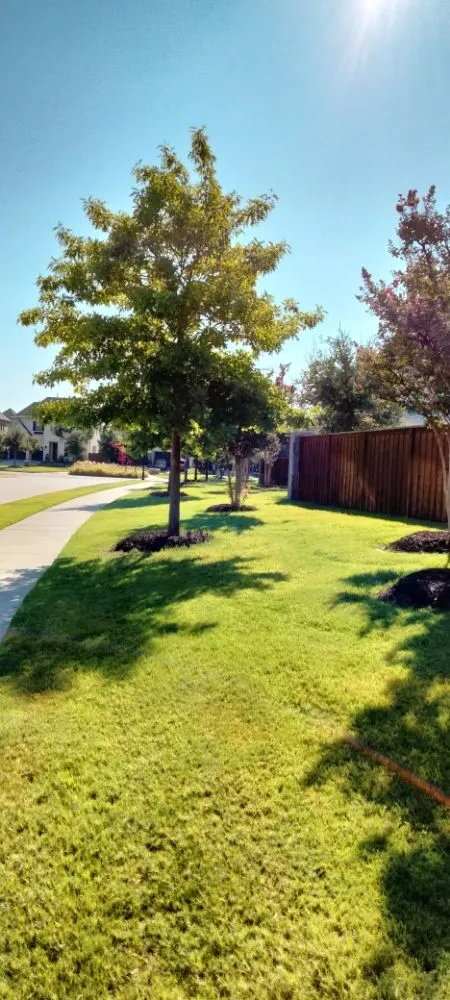 Professional lawn mowing service in Plano, TX - Mcklary's Landscaping