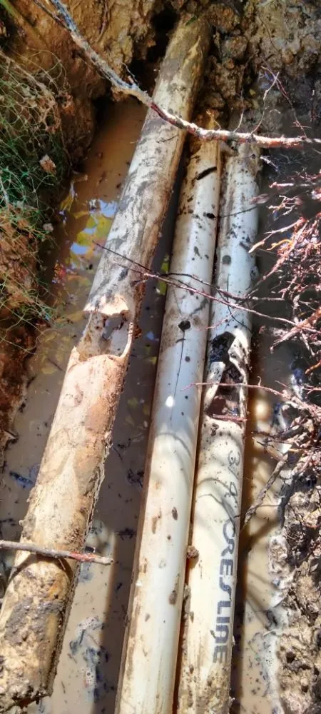 Trusted landscape design for beautiful yards across Plano, TX - Mcklary's Landscaping