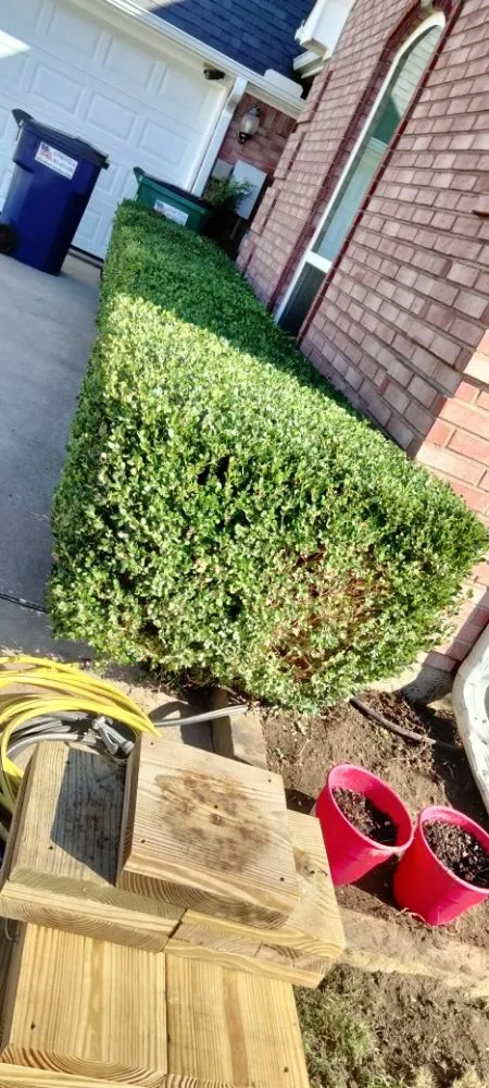 Custom landscaping services for beautiful yards in Plano, TX by Mcklary's Landscaping