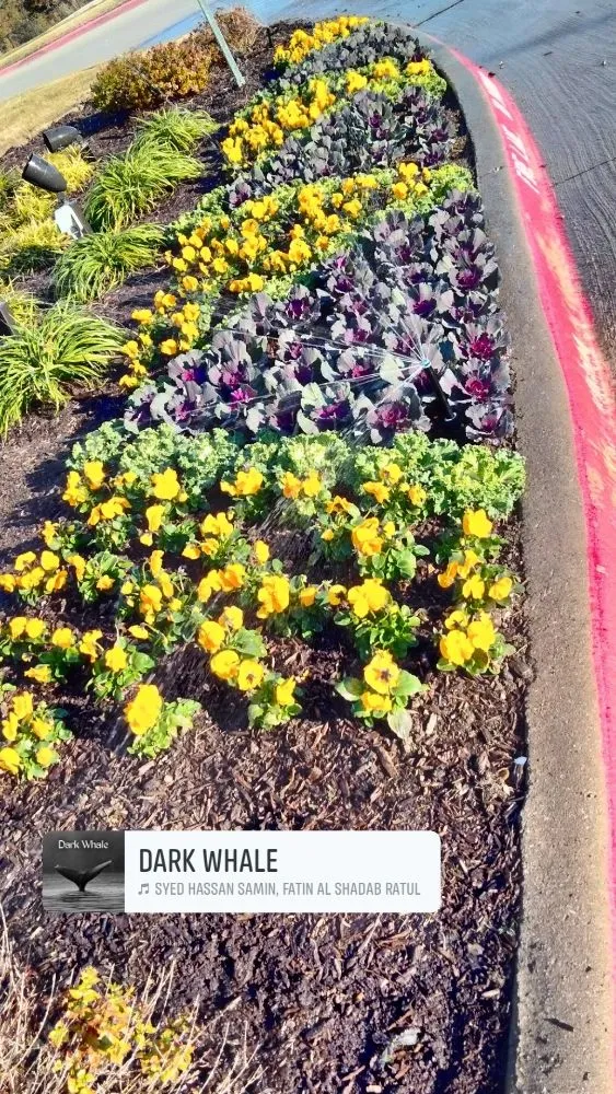 Custom yard maintenance for outdoor upgrades across Plano, TX - Mcklary's Landscaping