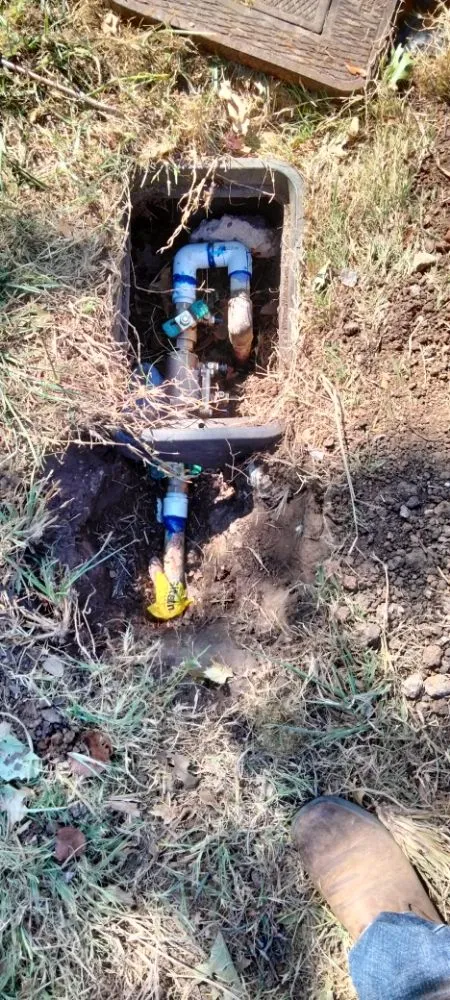 Professional landscape installation in Plano, TX by Mcklary's Landscaping