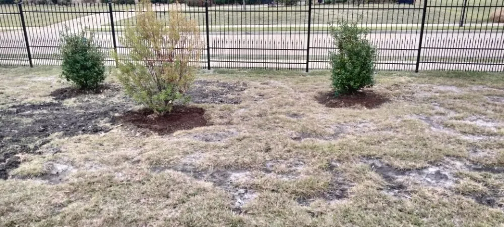 Affordable yard maintenance for homes across Plano, TX - Mcklary's Landscaping