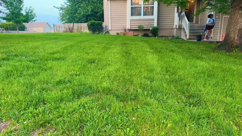 Top-rated landscaping services for beautiful yards in Kansas City, MO by Mcknight Lawn & Order