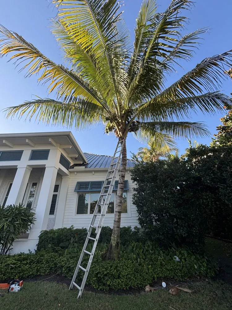 Expert landscaping services in Naples, FL - MCL Land & Hardscape Services