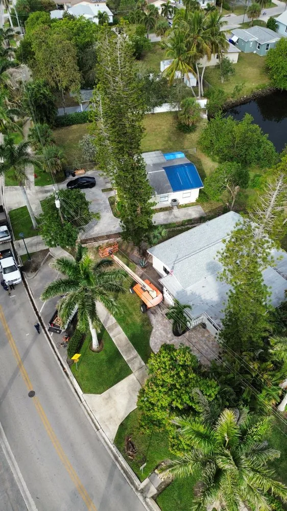 Top-rated yard cleanup service experts serving Naples, FL - MCL Land & Hardscape Services