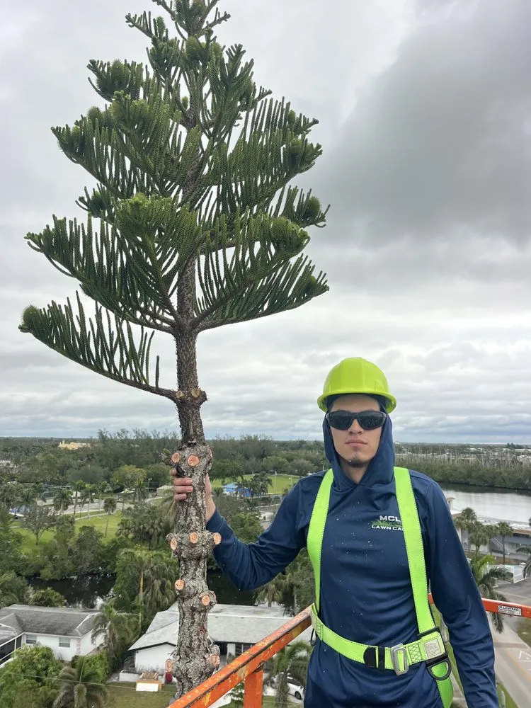 Expert landscape installation experts serving Naples, FL - MCL Land & Hardscape Services