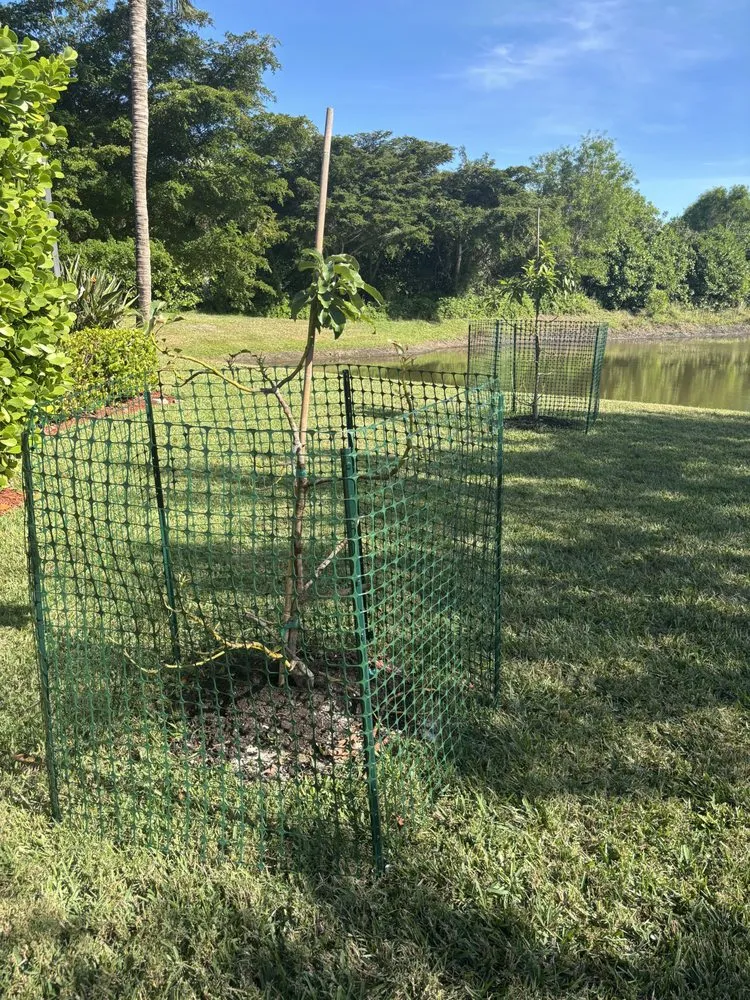 Expert landscape installation for outdoor upgrades in Naples, FL by MCL Land & Hardscape Services