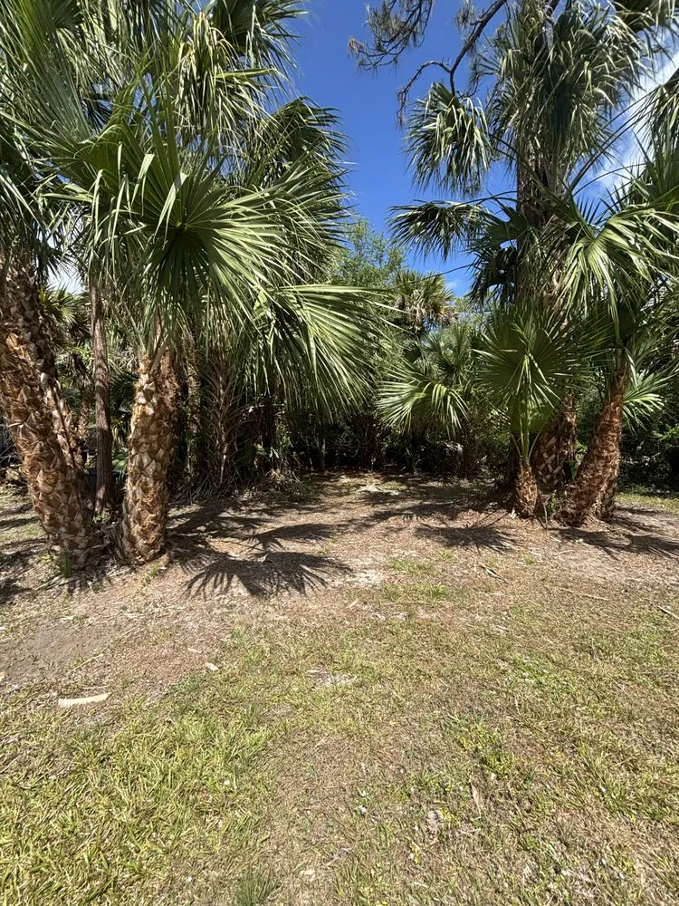 Top-rated yard cleanup service in Naples, FL by MCL Land & Hardscape Services