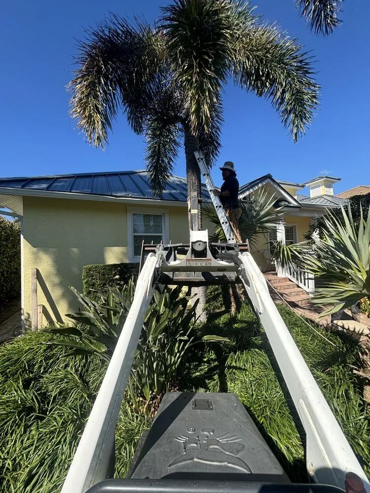 Trusted lawn care service in Naples, FL - MCL Land & Hardscape Services
