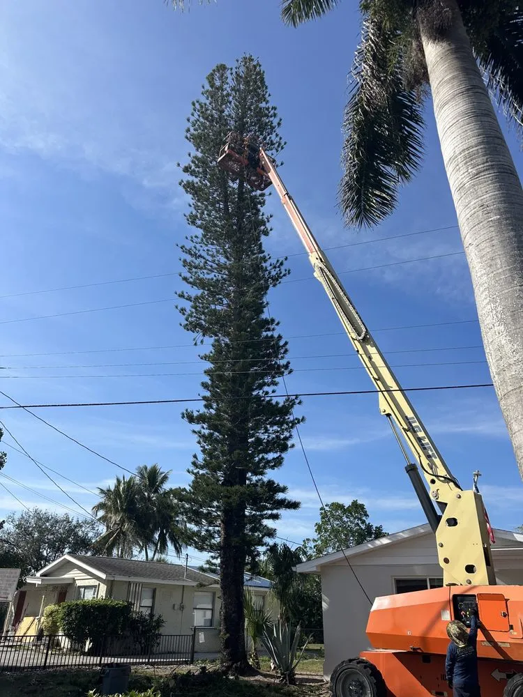 Custom outdoor landscaping experts serving Naples, FL - MCL Land & Hardscape Services