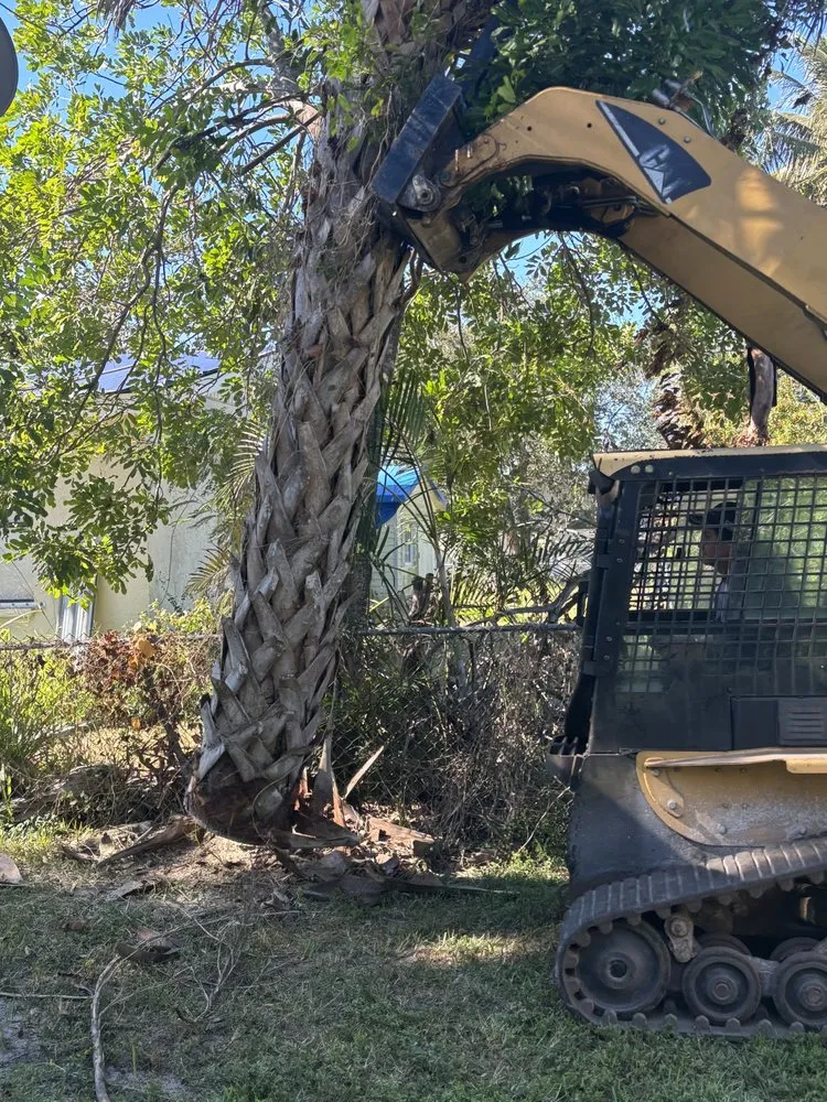Professional landscaping services for beautiful yards in Naples, FL by MCL Land & Hardscape Services