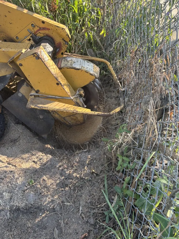 Expert outdoor landscaping for beautiful yards across Naples, FL - MCL Land & Hardscape Services