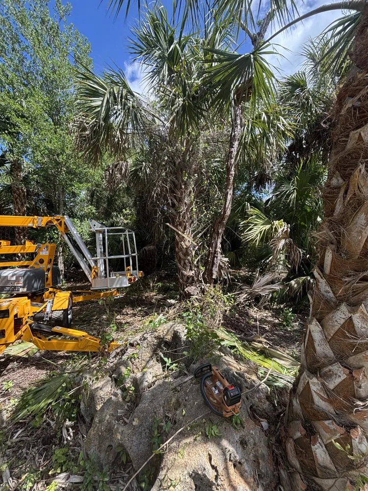 Custom landscape installation for residential properties across Naples, FL - MCL Land & Hardscape Services