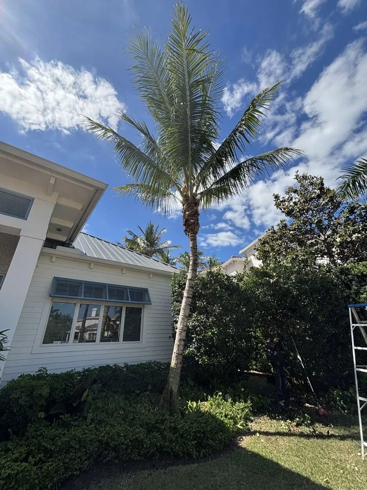 Trusted garden landscaping in Naples, FL - MCL Land & Hardscape Services