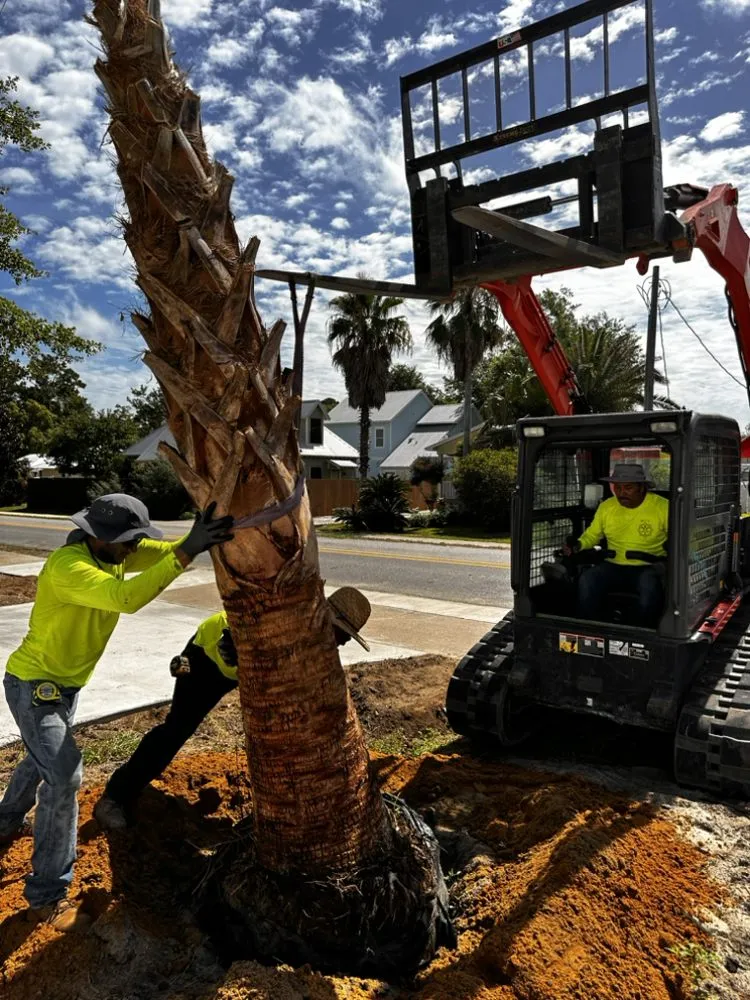 Reliable yard maintenance near you across Foley, AL - MCL Landscaping Solutions