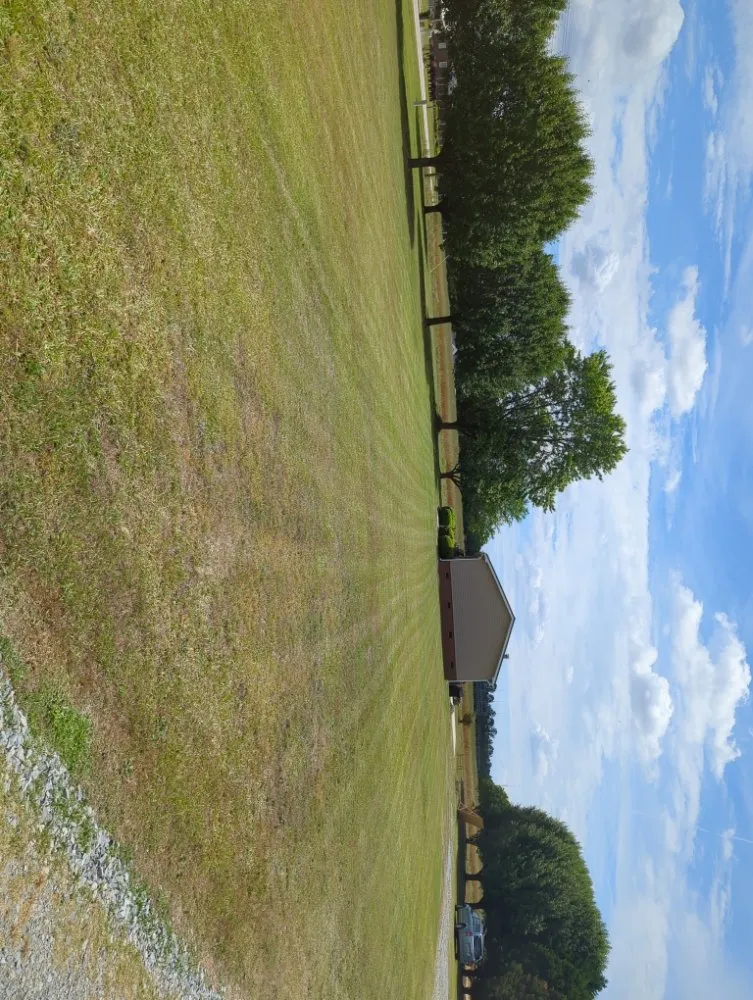 Local landscape design in Garland, NC by Mclamb Lawn Care
