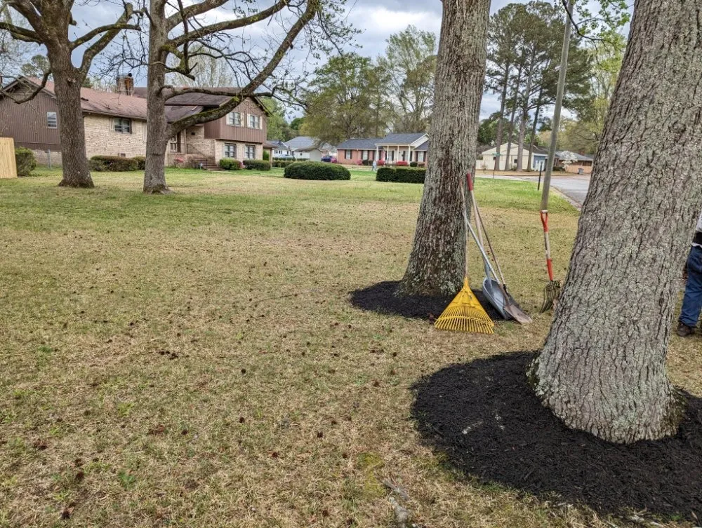 Top-rated landscape installation for year-round maintenance in Garland, NC by Mclamb Lawn Care