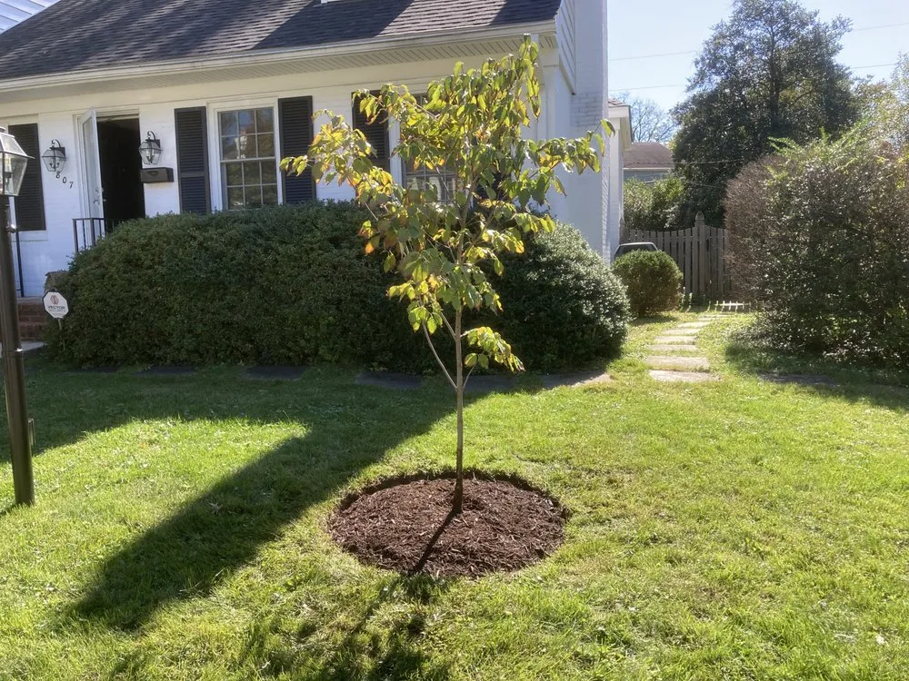 Reliable landscape installation experts serving Parkville, MD - McLane Services