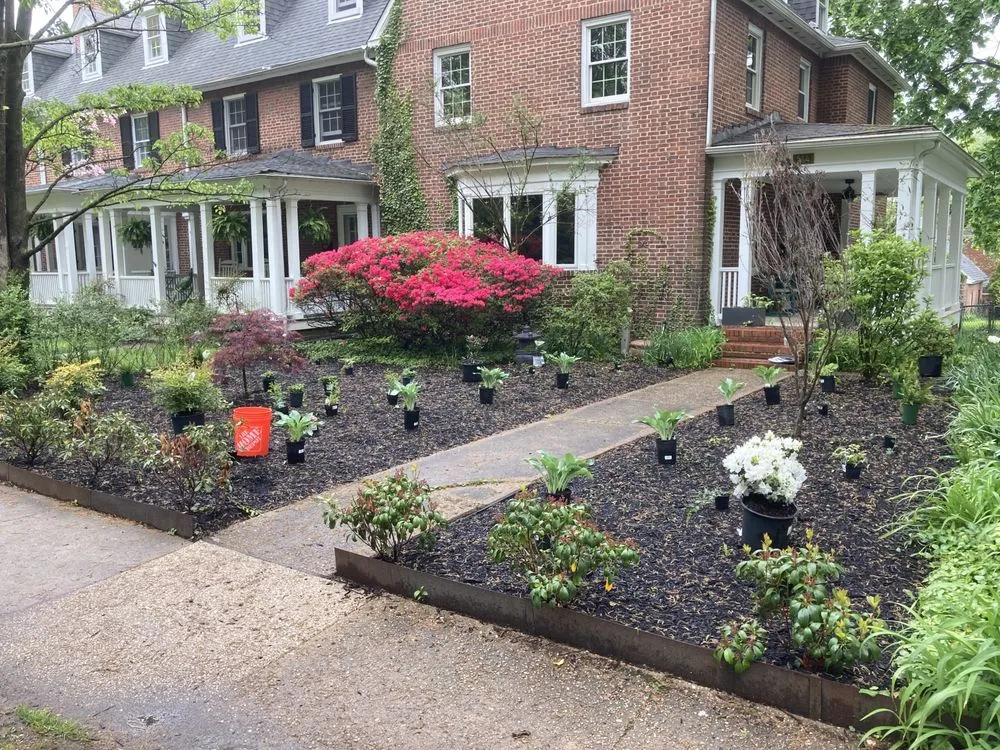 Local landscape design for year-round maintenance across Parkville, MD - McLane Services