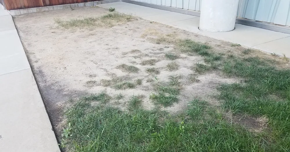 Expert landscaping services in Miami, FL - Mclane's Landscaping