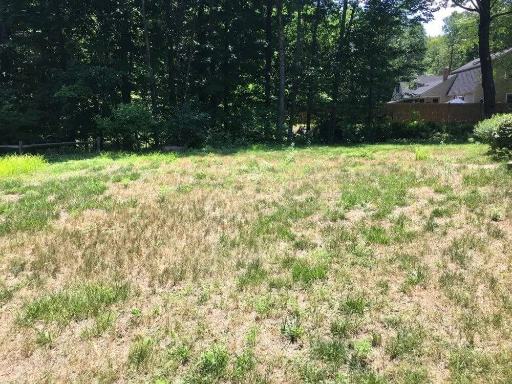 Affordable landscaping services experts serving Miami, FL - Mclane's Landscaping