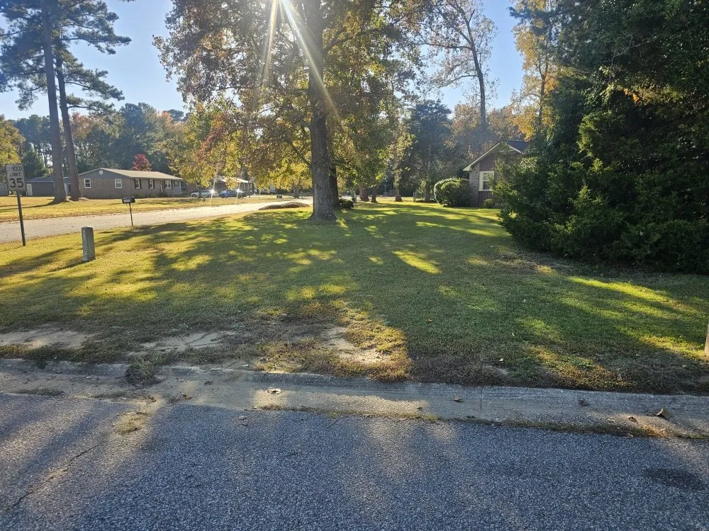 Affordable yard cleanup service near you in Laurinburg, NC by Mclaurin Landscaping