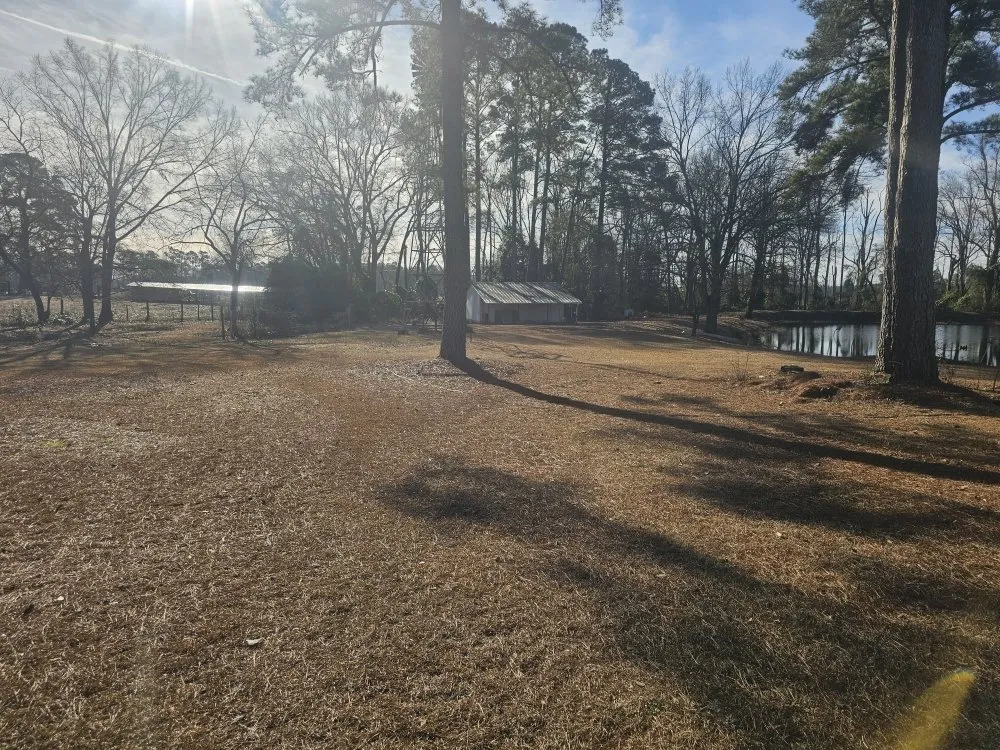 Professional yard cleanup service for residential properties across Laurinburg, NC - Mclaurin Landscaping