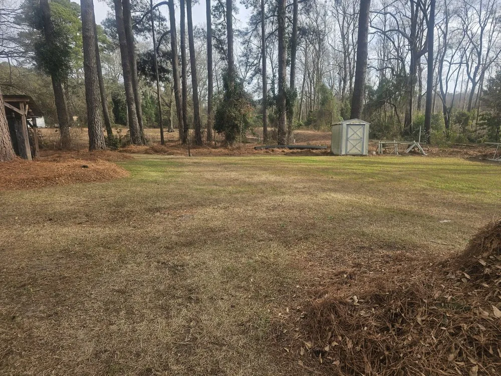 Reliable outdoor landscaping for year-round maintenance in Laurinburg, NC by Mclaurin Landscaping