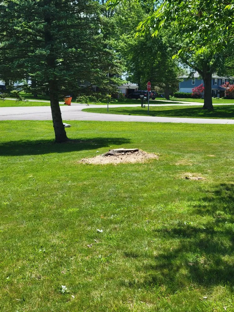 Expert lawn mowing service in Bunker Hill, IN - McLay Tree Trimmers and lawn care