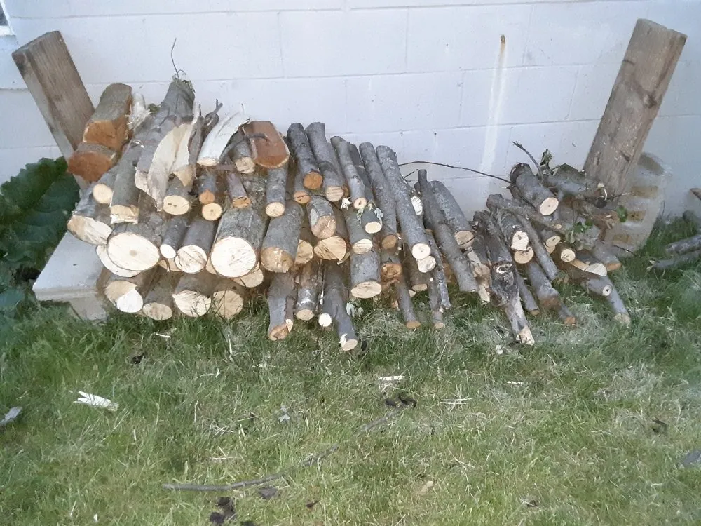 Trusted yard cleanup service near you across Bunker Hill, IN - McLay Tree Trimmers and lawn care