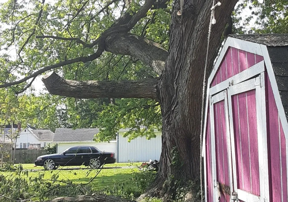 Trusted landscape design experts serving Bunker Hill, IN - McLay Tree Trimmers and lawn care