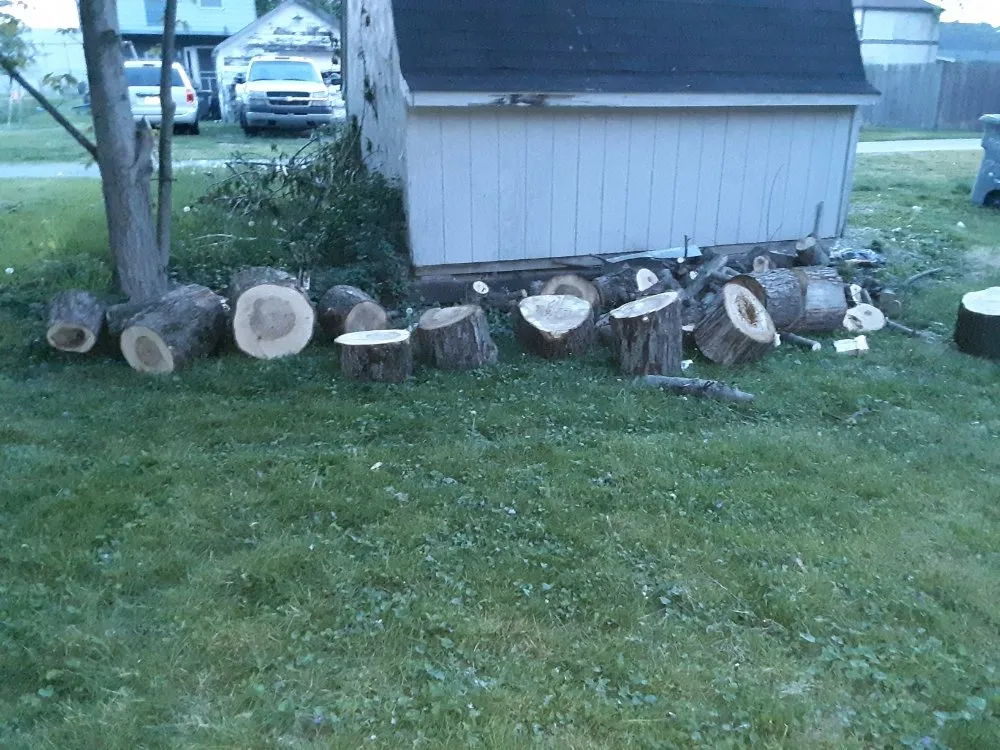 Professional landscape design for beautiful yards across Bunker Hill, IN - McLay Tree Trimmers and lawn care