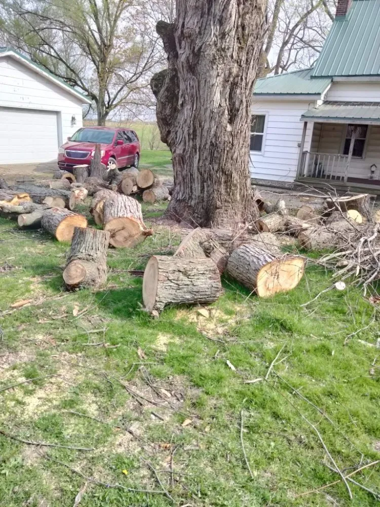 Top-rated landscaping services in Bunker Hill, IN - McLay Tree Trimmers and lawn care