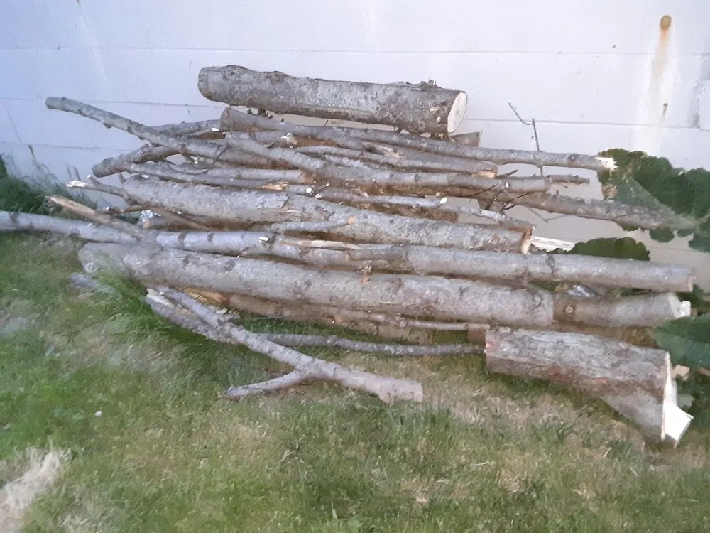 Custom residential landscaping experts serving Bunker Hill, IN - McLay Tree Trimmers and lawn care