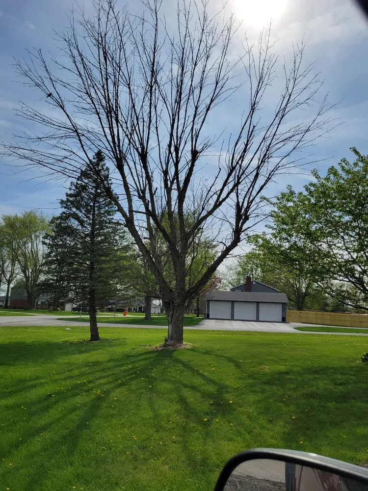 Expert landscape design for outdoor upgrades across Bunker Hill, IN - McLay Tree Trimmers and lawn care