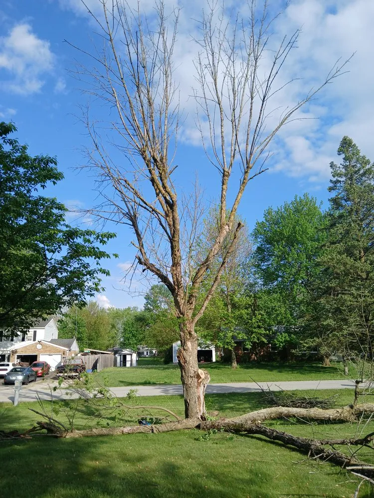 Custom residential landscaping in Bunker Hill, IN - McLay Tree Trimmers and lawn care