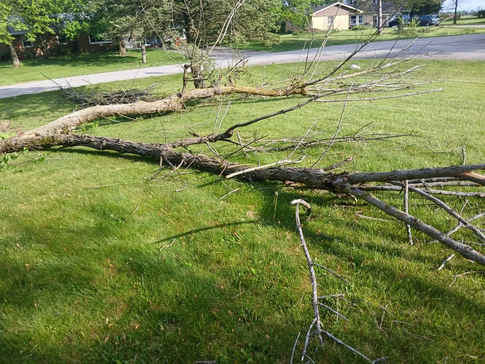 Trusted yard maintenance in Bunker Hill, IN by McLay Tree Trimmers and lawn care