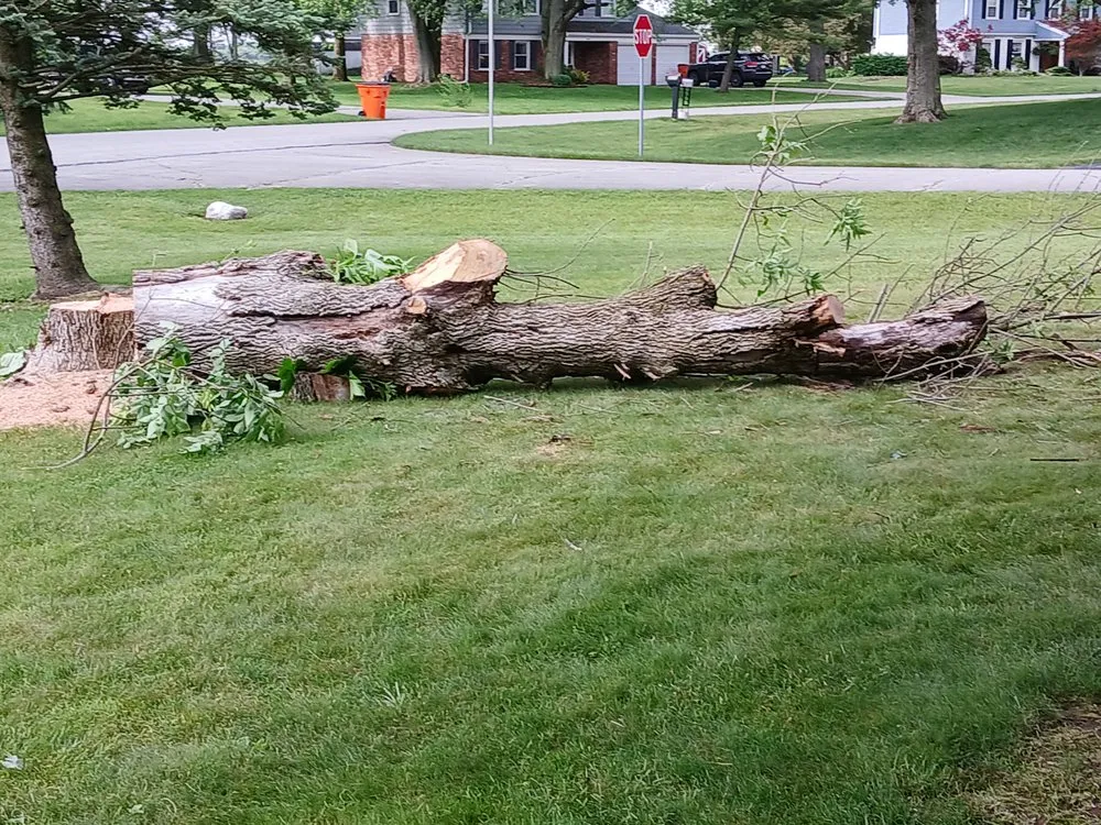 Expert landscaping services in Bunker Hill, IN by McLay Tree Trimmers and lawn care