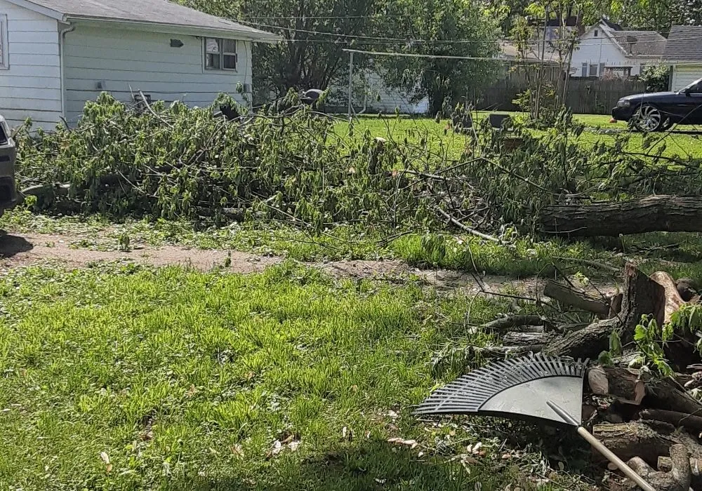 Top-rated landscaping services for year-round maintenance across Bunker Hill, IN - McLay Tree Trimmers and lawn care