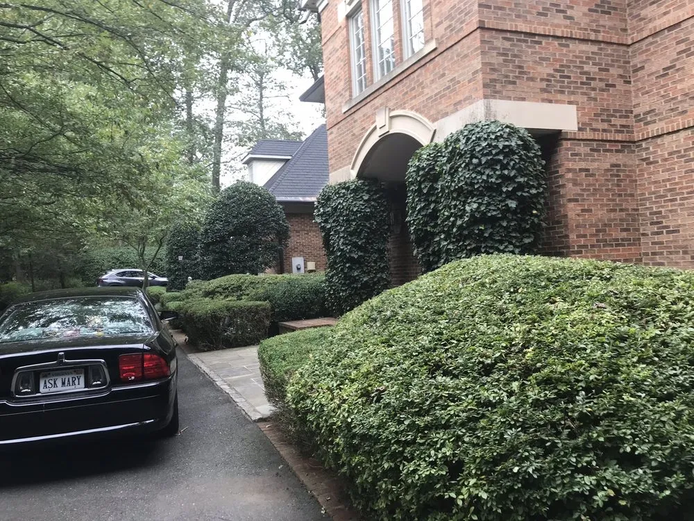 Custom residential landscaping in Great Falls, VA by McLean Landscapes