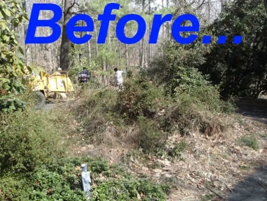 Professional landscape installation for beautiful yards in Great Falls, VA by McLean Landscapes