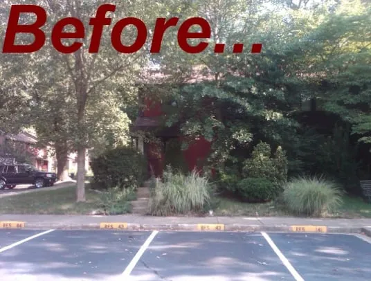 Trusted garden landscaping for year-round maintenance across Great Falls, VA - McLean Landscapes