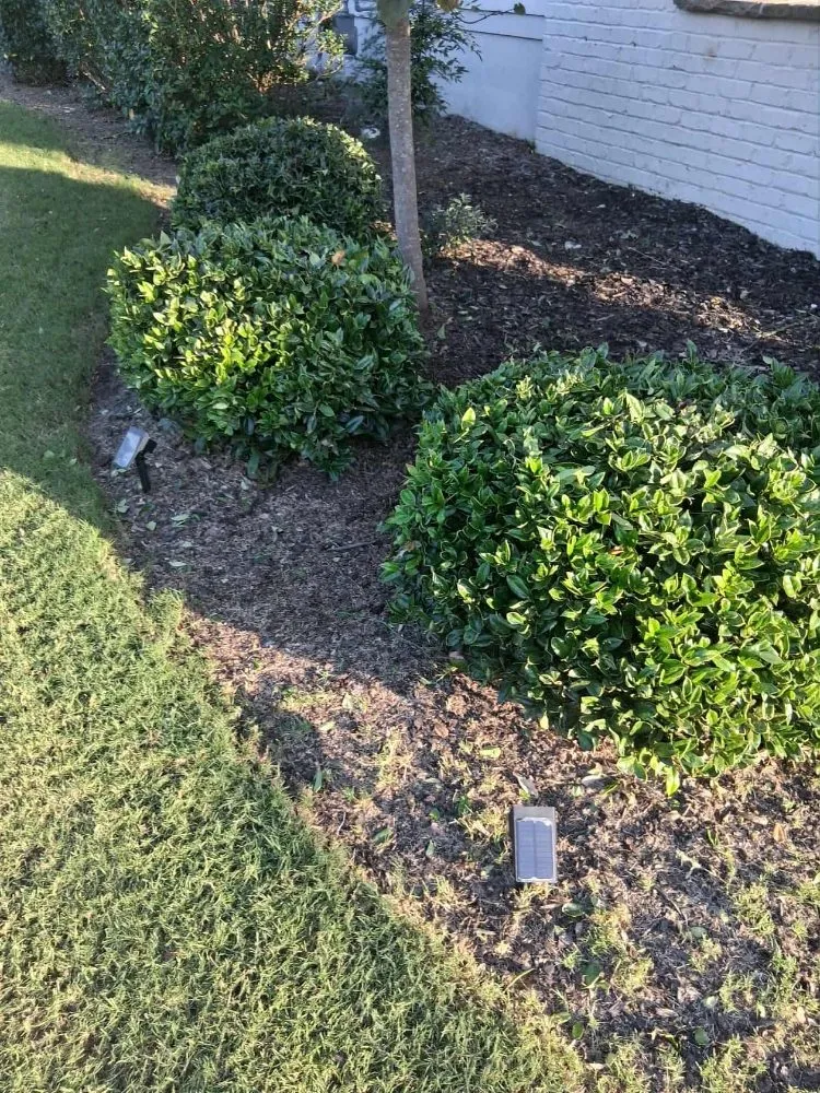 Expert yard maintenance for outdoor upgrades in Dunn, NC by McLean Services