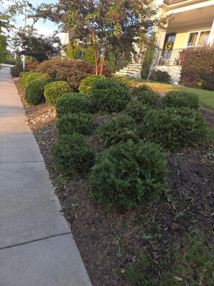 Reliable garden landscaping in Dunn, NC - McLean Services